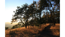 Load image into Gallery viewer, Friends of Buford Park & Mt. Pisgah Membership