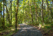 Load image into Gallery viewer, Friends of Buford Park & Mt. Pisgah Membership